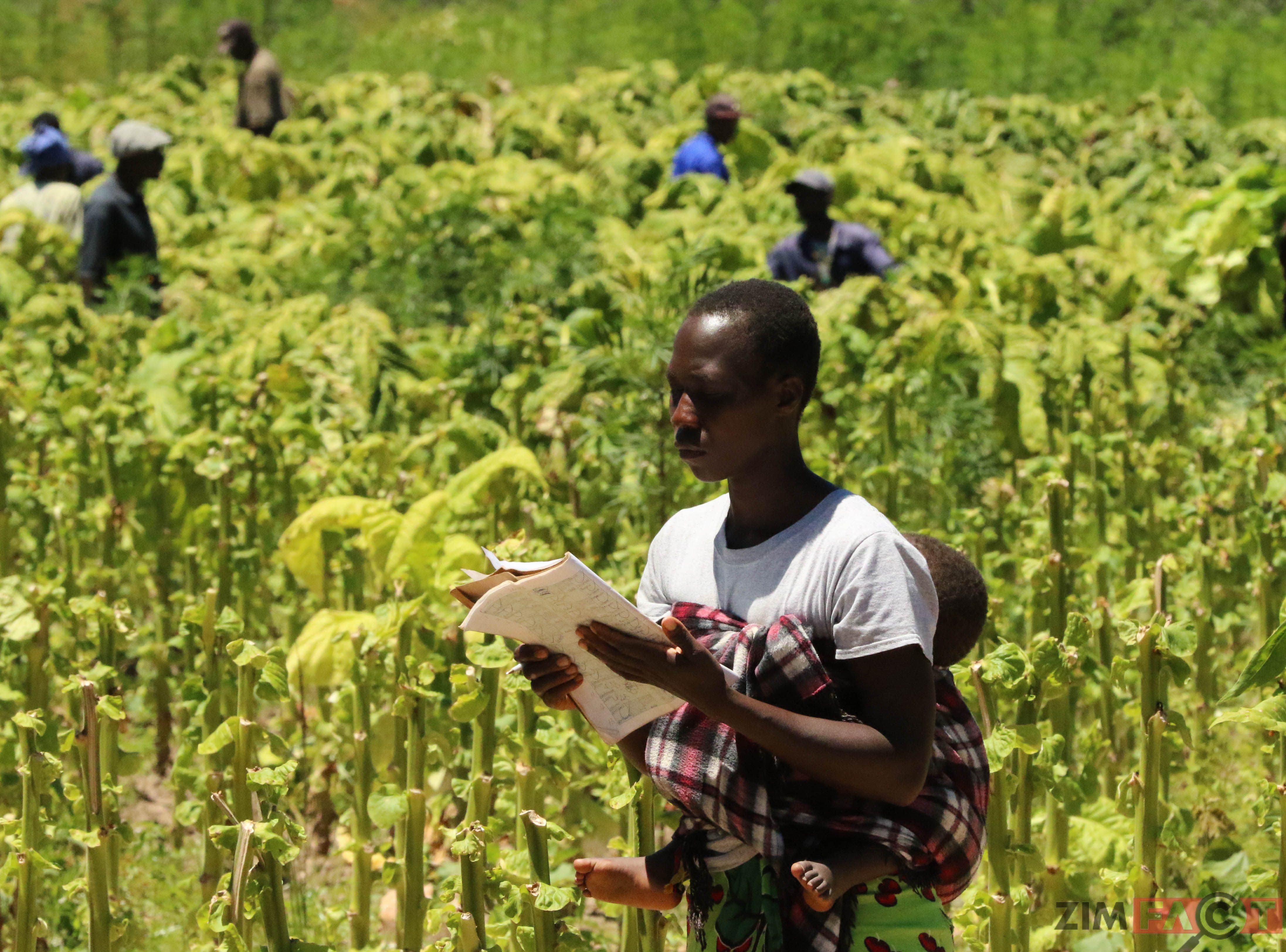 Land ownership in Zimbabwe - ZimFact