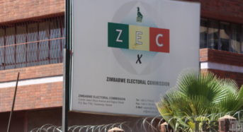 Fact check: ZEC did not disqualify ZANU PF Mwenezi West National Assembly candidate