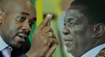 Presidential election: What happens if Chamisa goes to court?