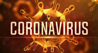 FACTSHEET: Zimbabwe coronavirus status