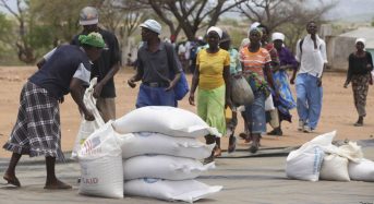 FACTSHEET: Zimbabwe food aid and COVID-19