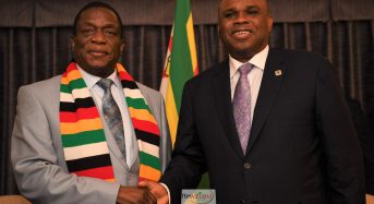 Does Zimbabwe get “more than half” Afreximbank loans?