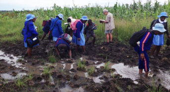 FACTSHEET: Zimbabwe’s wetlands and environmental degradation