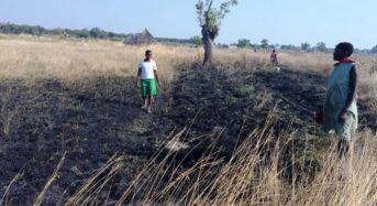 FACT SHEET: What do we know about Zimbabwe’s veld fire problem?