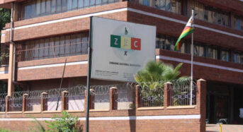 <strong>Factsheet: Zimbabwe poll fees among highest in Africa</strong>