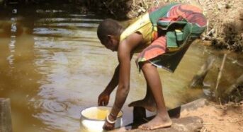 Factsheet: What are they doing about Cholera in Zimbabwe?