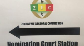Factsheet: Nomination of candidates for Zimbabwe general elections