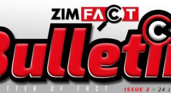 ZimFact Bulletin 3: Women, Chamisa & Mutodi 