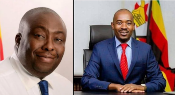 Factsheet: Election cases in the courts: Kasukuwere, CCC candidates