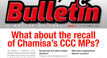 Bulletin Issue 6: Chamisa faces trouble