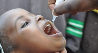 Factsheet: Zimbabwe Polio Vaccination Campaign