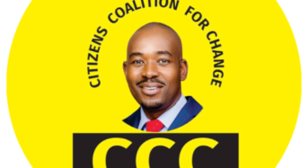 Fact Check: Whose face is it: Does CCC own Chamisa’s face symbol?