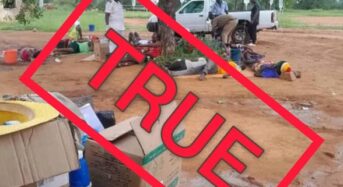 Fact Check: Did Cholera patients get emergency treatment under a tree?