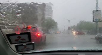 Factsheet: Tips for driving in the rain