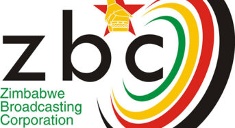 Fact Check: Are ZBC radio licences already mandatory for motorists?