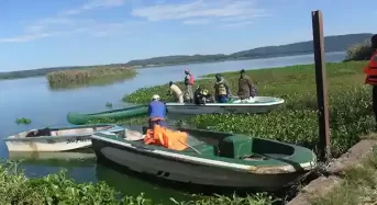 Fact Check: Yes, Lake Chivero contaminated, fish dying from poisoning