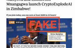 Fact Check: No, President Mnangagwa and Strive Masiyiwa have not launched cryptocurrency project